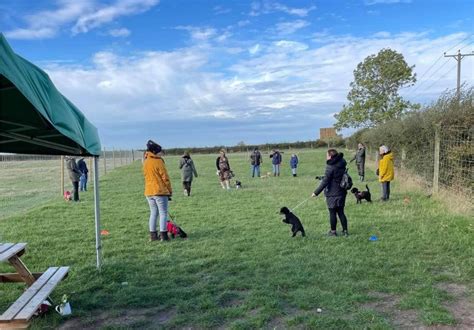 Foxley Paddock - Secure Dog Walking Field
